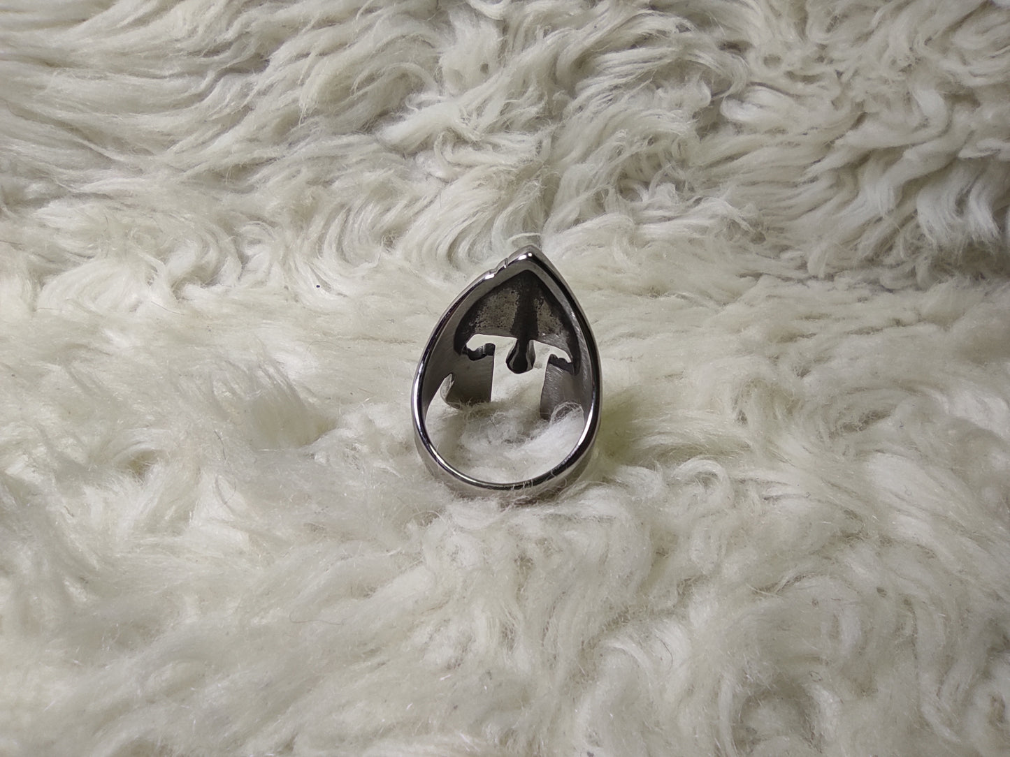 Spartan stainless steel ring