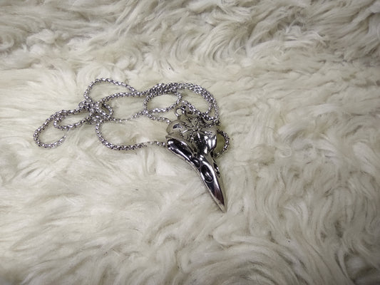 Bird skull amulet with Vegvísir symbol